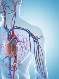 Ursachen und Behandlung des plötzlichen Herzstillstandes