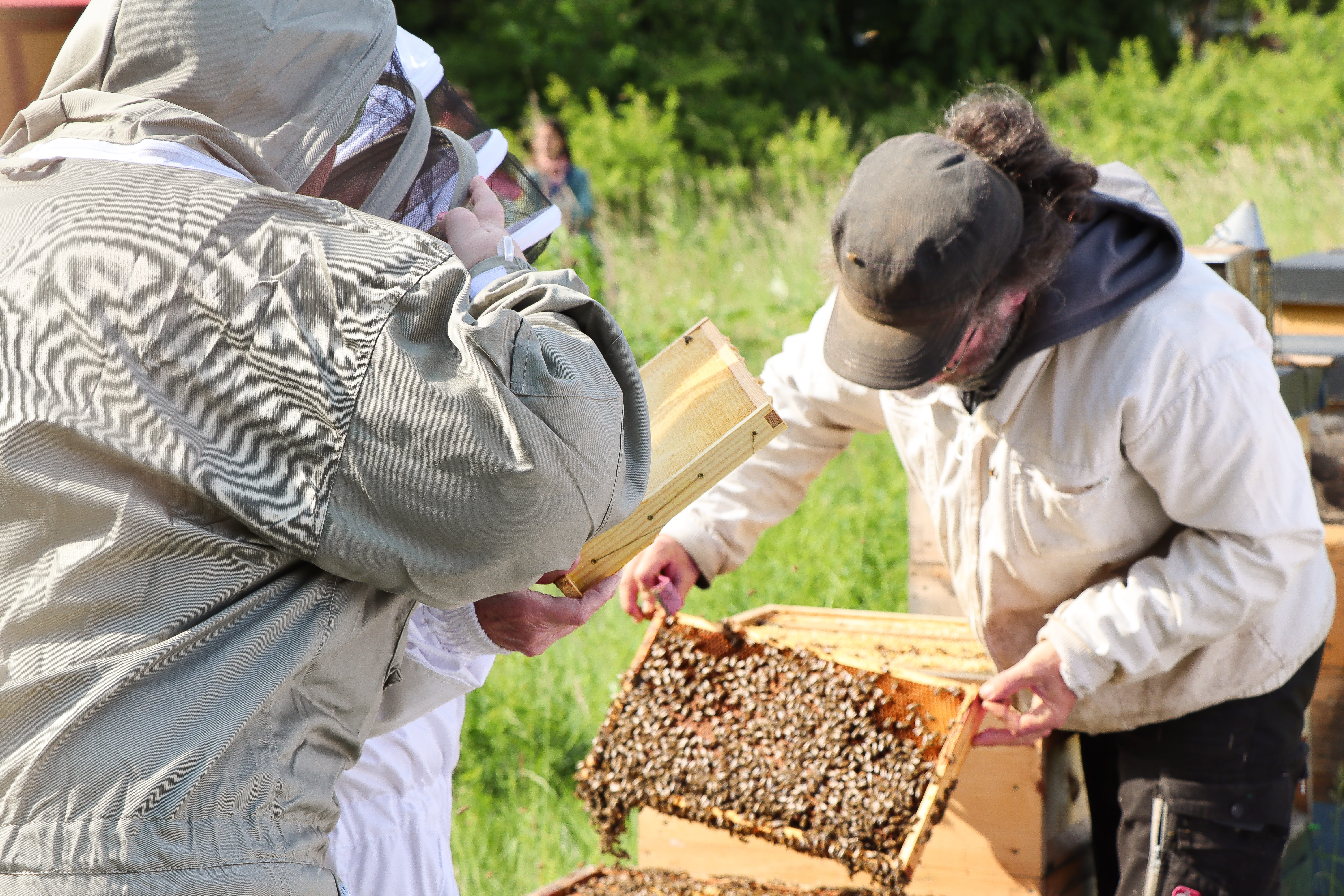 Rehabilitanden bestaunen die vielen Bienen (© AMEOS Einrichtungen Ratzeburg) Rehabilitanden bestaunen die vielen Bienen (© AMEOS Einrichtungen Ratzeburg)